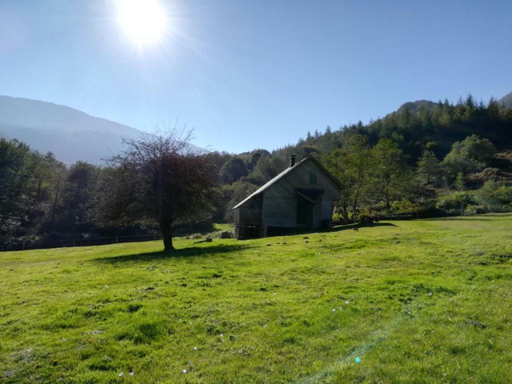 Les Chalets De La Foret D'Issaux Osse-en-Aspe Exterior photo